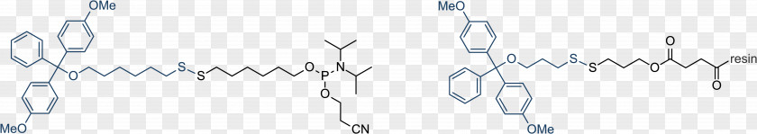 Thiol Oligonucleotide Phosphoramidite Disulfide Chemical Synthesis PNG