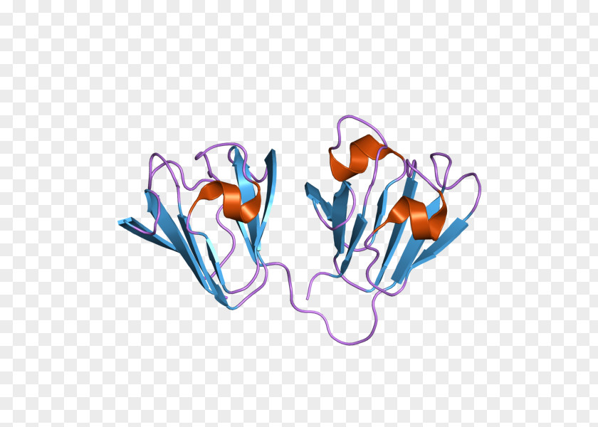 Affilin Crystallin Protein Ubiquitin Antigen PNG