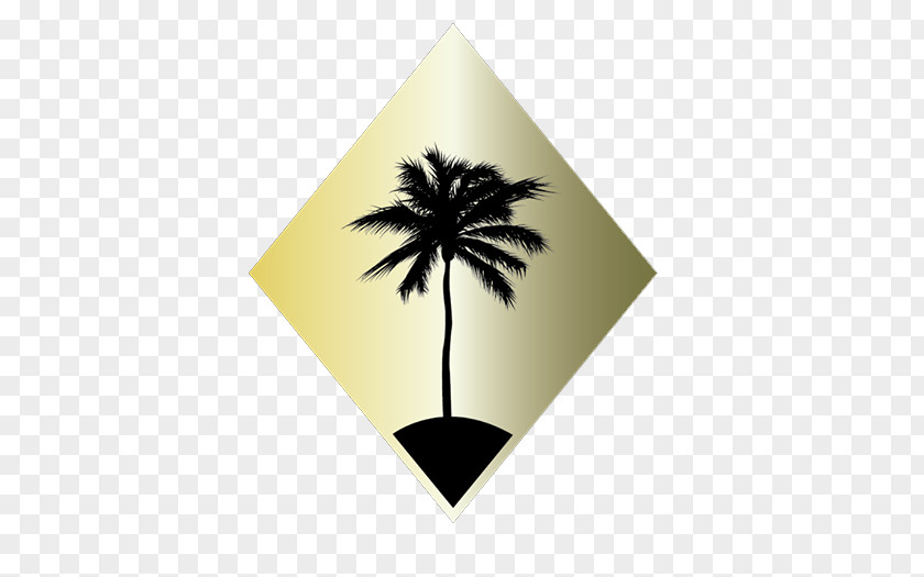 Arecales Palm Tree Leaf PNG