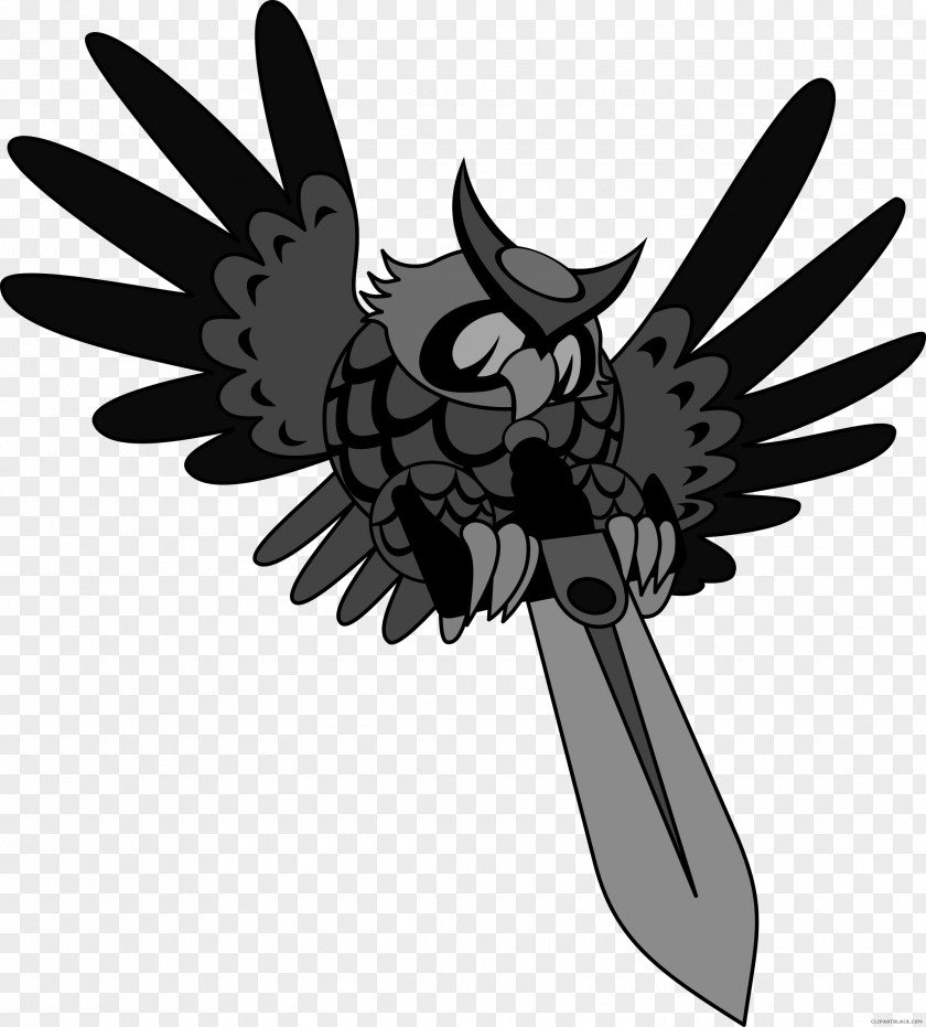 Bird Clip Art Vertebrate Owl PNG