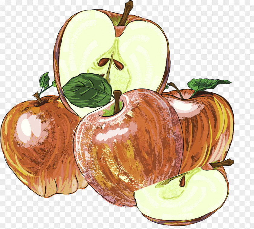 Brown Hand-painted Apple Decorative Pattern Drawing PNG