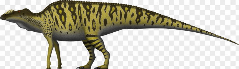 Dinosaur Tyrannosaurus Allosaurus Hadrosaurus Edmontosaurus Annectens Mosasaurus PNG
