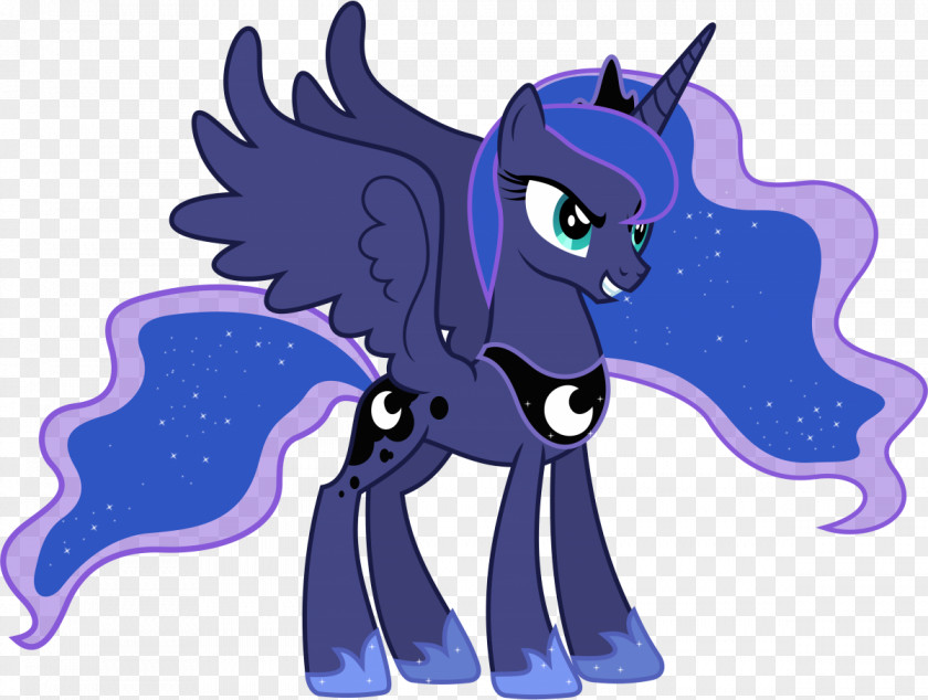 Invitation Princess Luna Celestia Twilight Sparkle Pony Cadance PNG