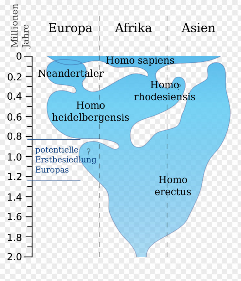 Line Water Resources Organism Map Angle PNG
