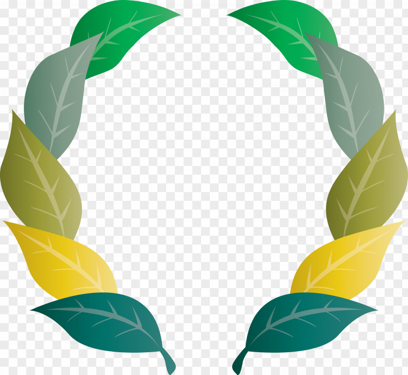 Nature Frame Flower Leaf PNG