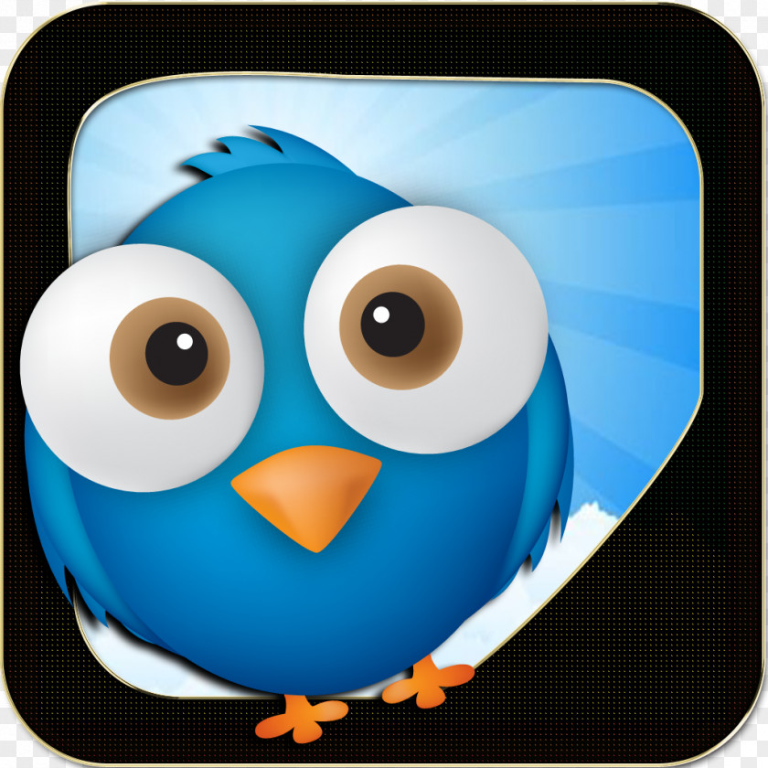 Owl Flightless Bird Beak Microsoft Azure PNG