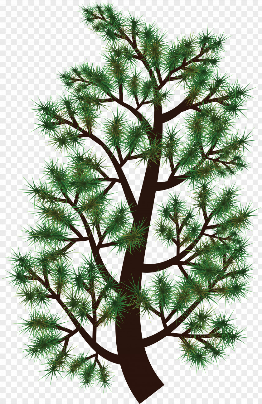 Tree Pine Branch Fir Clip Art PNG