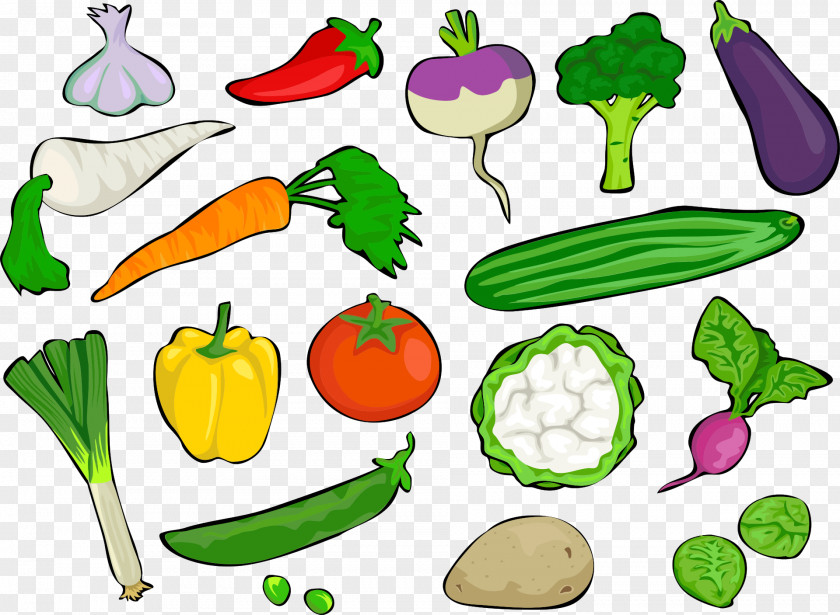 Vegetable Gathering Broccoli Cauliflower Radish Clip Art PNG
