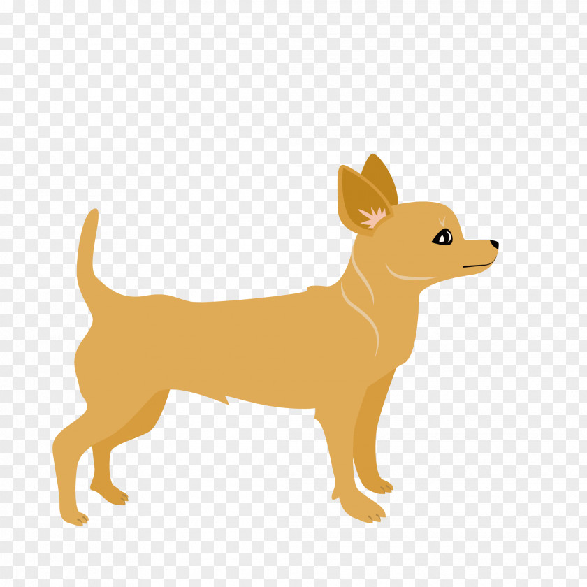 Animal Picture Labrador Retriever Miniature Pinscher Dachshund Golden Cat PNG