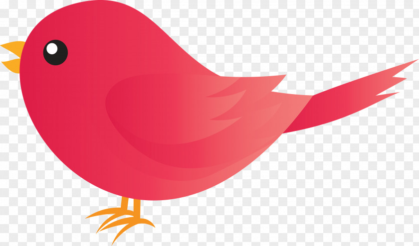 Bird Red Beak Pink Cardinal PNG