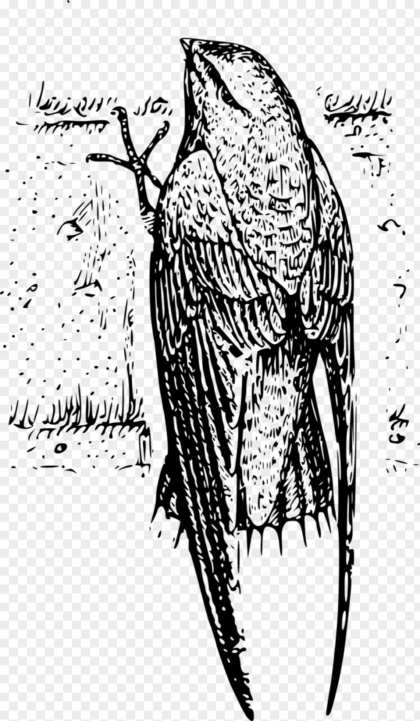 Chimney Bird Swift Clip Art PNG