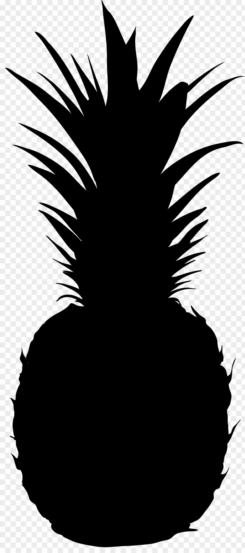 Clip Art Vector Graphics Silhouette Pineapple Illustration PNG