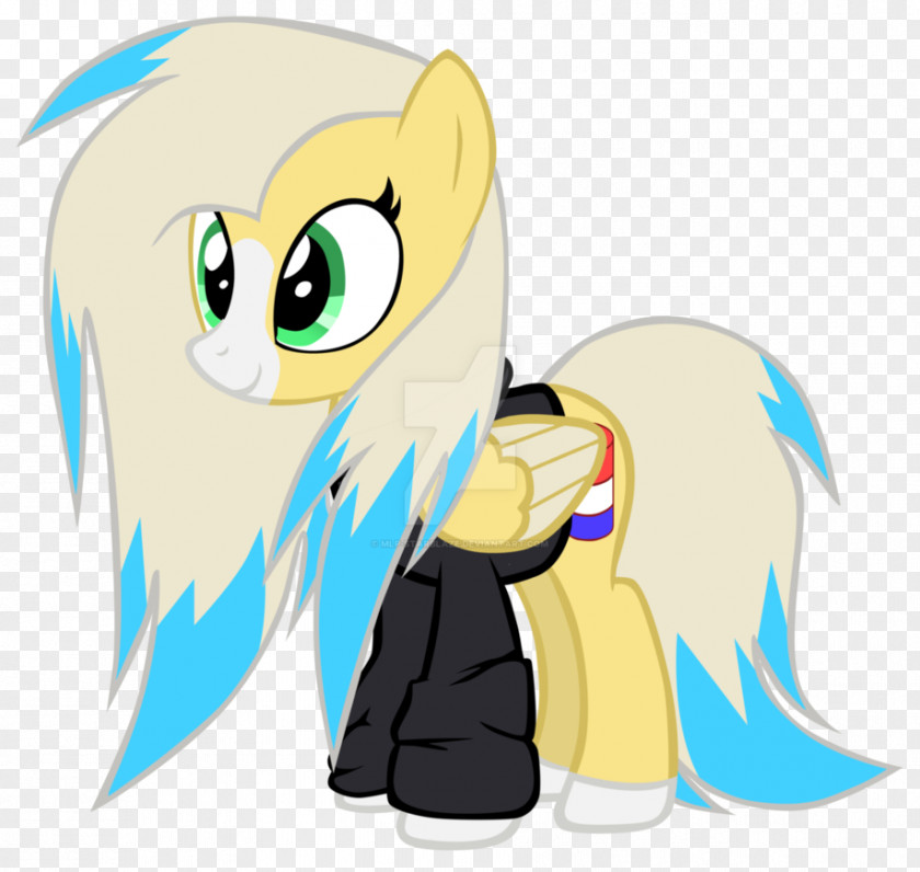 Hoodie Vector My Little Pony Pinkie Pie Rainbow Dash Princess Cadance PNG