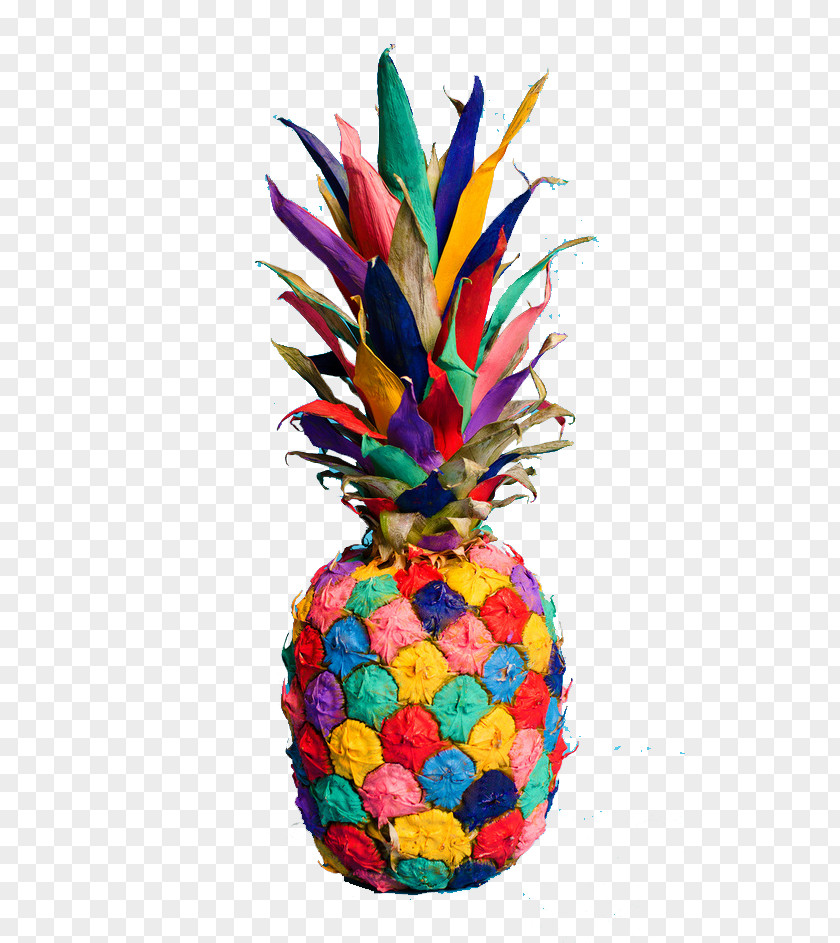 Multicolored Pineapple Fruit PNG