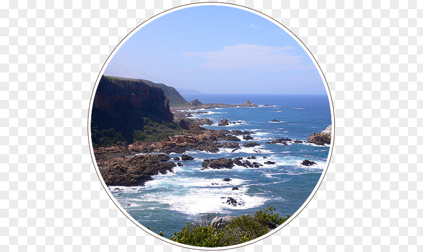 Park South African National Parks Garden Route District Municipality West Coast PNG