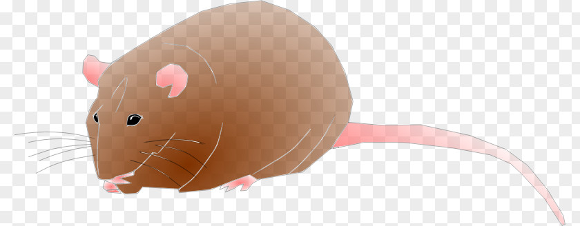 Rodent Cliparts Rat Computer Mouse Cartoon Illustration PNG