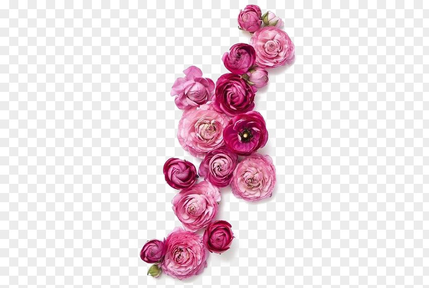Rose Flower Bouquet Floristry Red Pin PNG