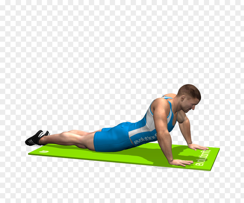 Arm Pilates Stretching Muscle Exercise Physical Fitness PNG