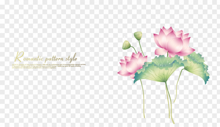 Beautiful And Elegant Lotus Decoration Paint PNG