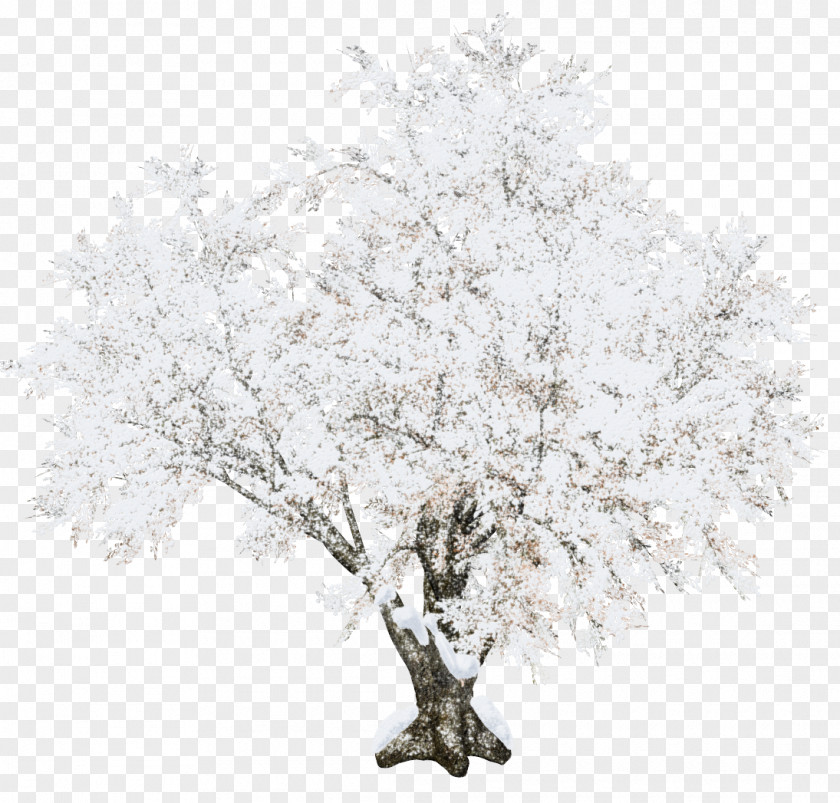 Beautiful Snow Tree Christmas PNG