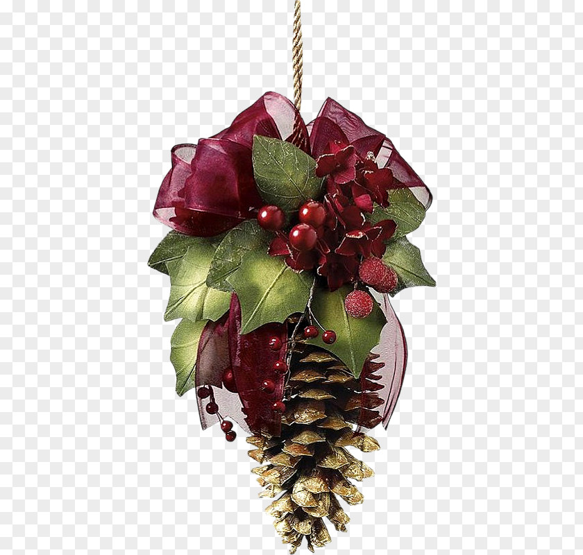 Christmas Conifer Cone Pine Decoration PNG