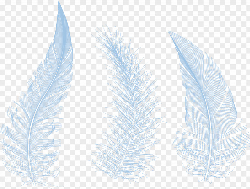 Feather Product Design Leaf PNG