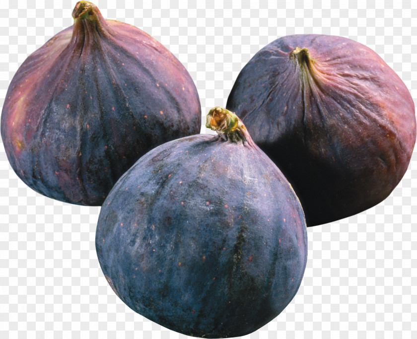 Fig Fruit Cucurbita Common Drawing PNG