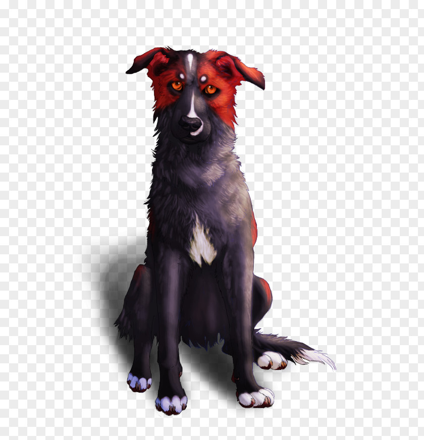 Good Bye Dog Breed Border Collie Rough Drawing PNG