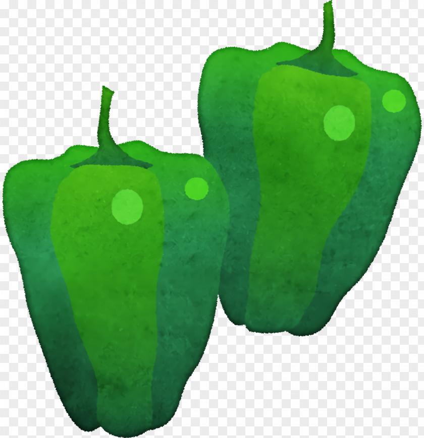 Peppers Bell Pepper Chili Green Fruit PNG