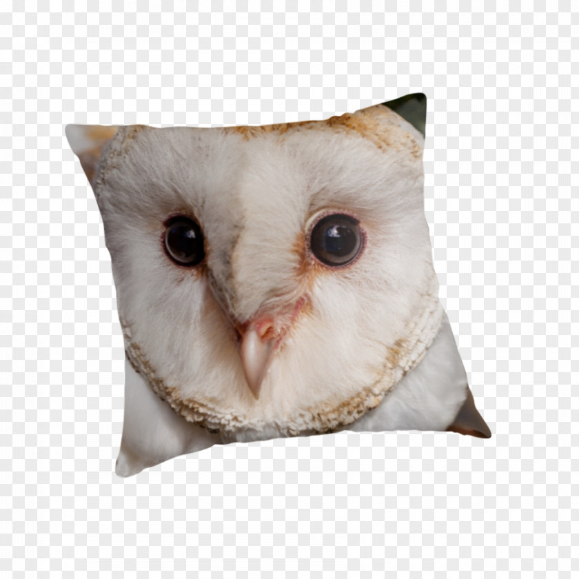 Barn Owl Throw Pillows Cushion Beak PNG