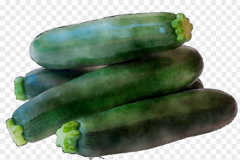 Cucumber Spreewald Gherkins Summer Squash PNG