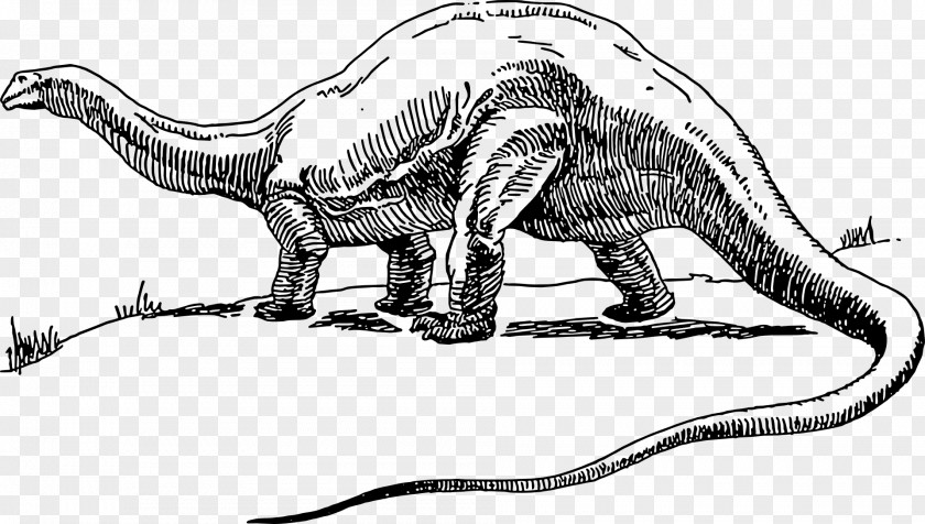 Dinosaur Apatosaurus Brontosaurus Tyrannosaurus PNG