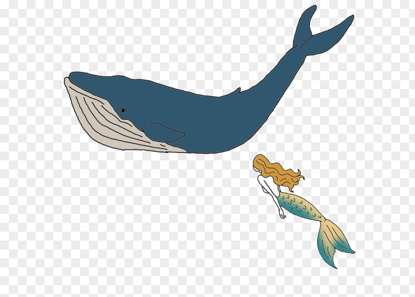 Dolphin Whale Vocalization Porpoise Symbol PNG