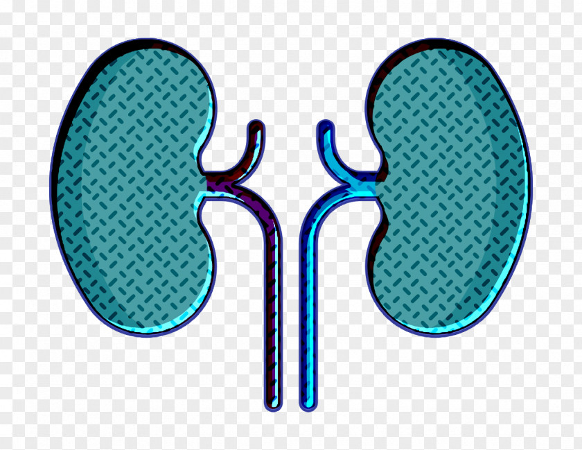 Medical Icon Kidney PNG