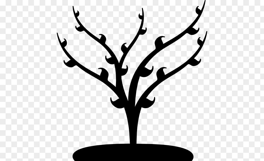 Tree Branch PNG