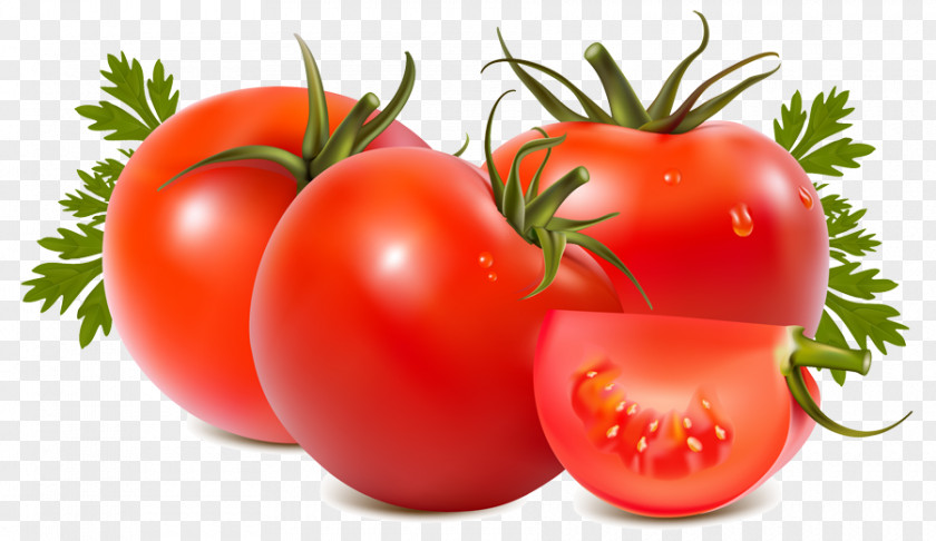 Vegetable Tomato Soup Juice Sauce PNG