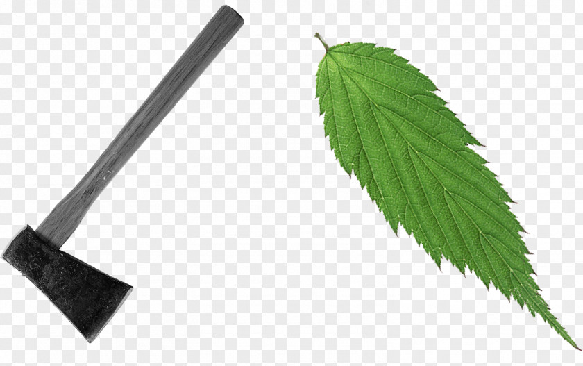 Ax Leaf LINE PNG