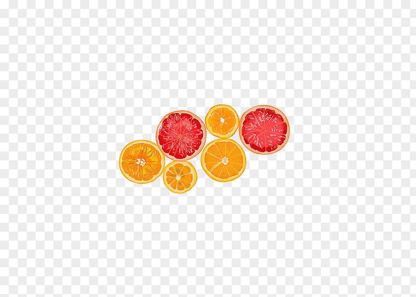 Cartoon Painted Orange Lemon Slices PNG