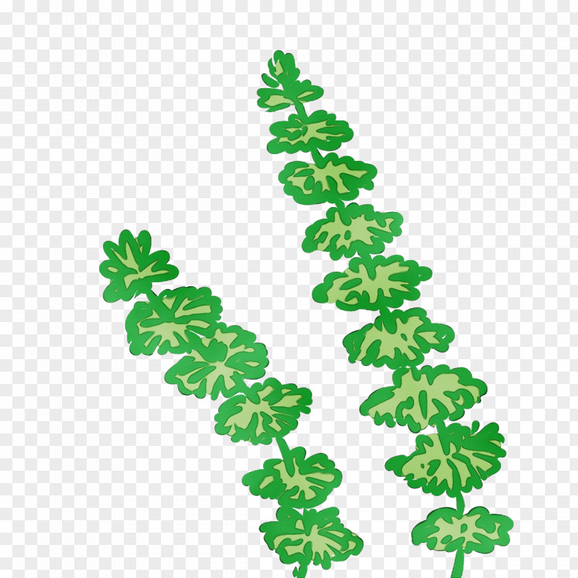 Leaf Line Plants Plant Structure Biology PNG