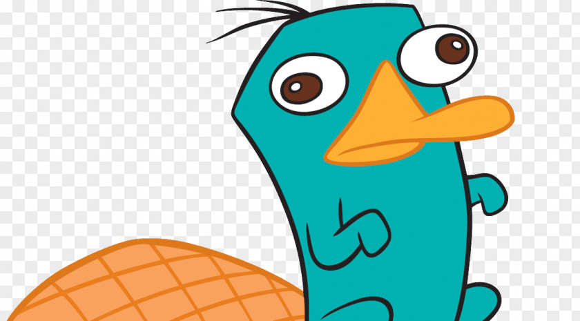 Perry The Platypus Phineas Flynn Ferb Fletcher Drawing PNG