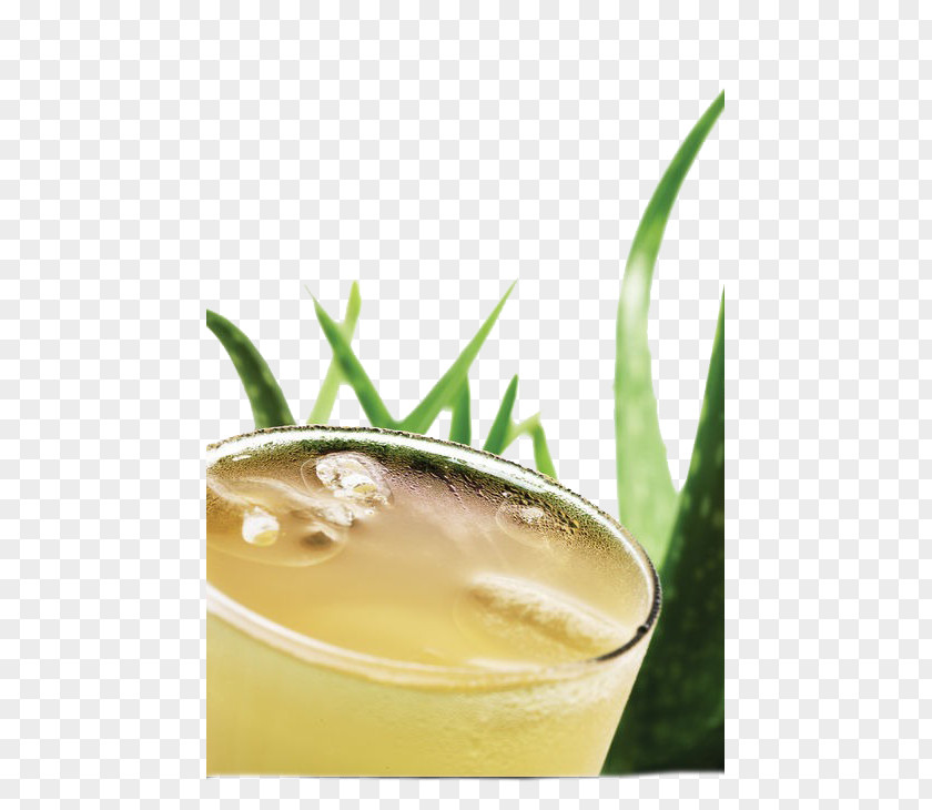 Aloe Vera Gel Juice Gelatin Dessert PNG