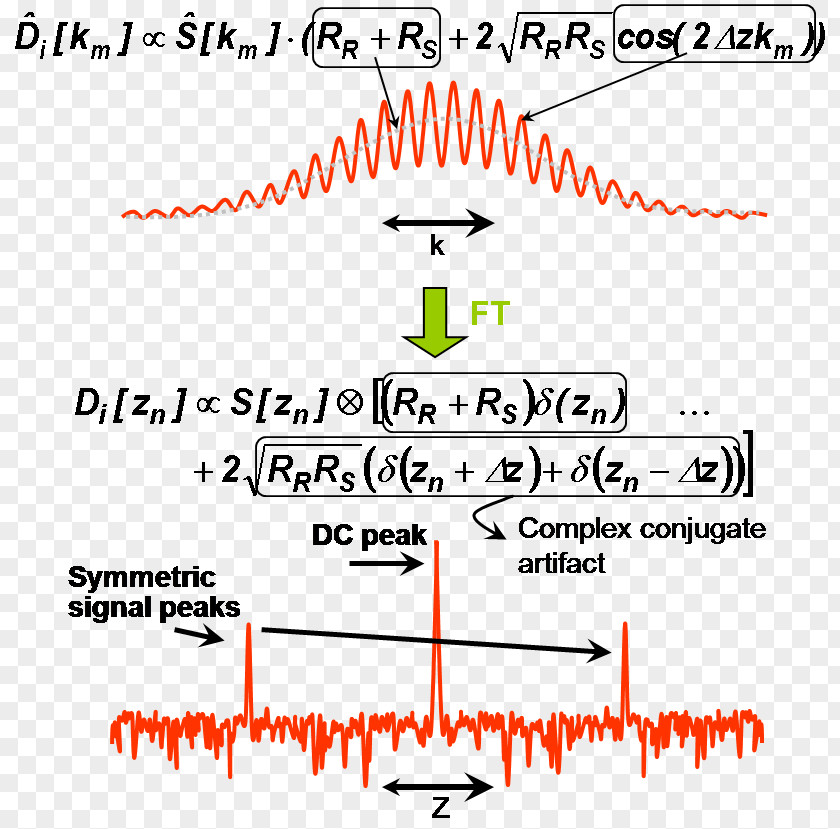 Fourier Transform Optical Coherence Tomography Frequency Domain Time Optics PNG