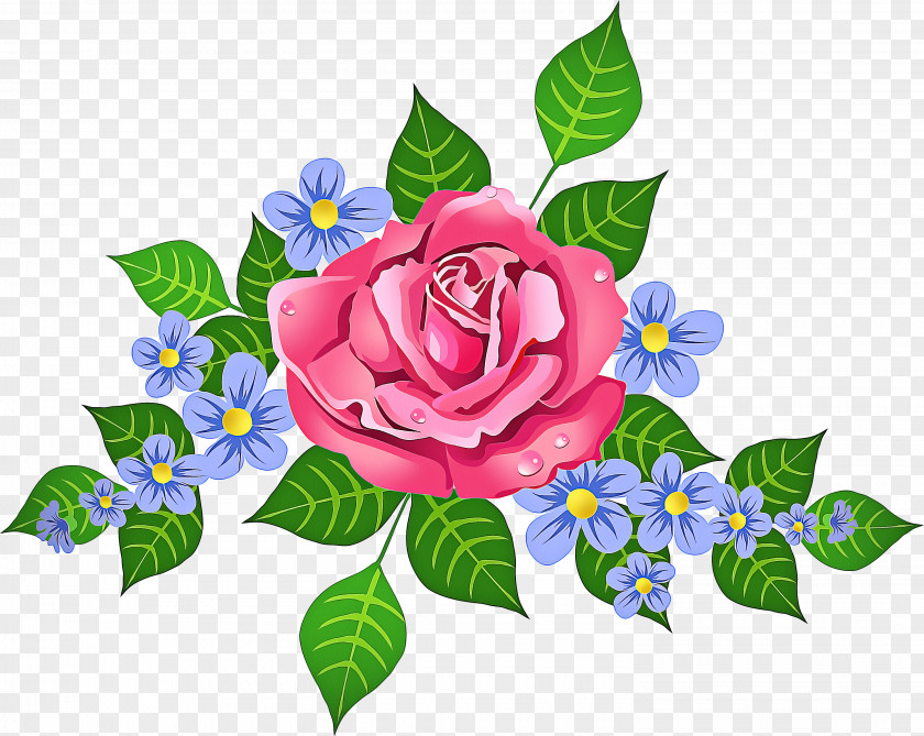 Garden Roses Pink Blue Rose PNG