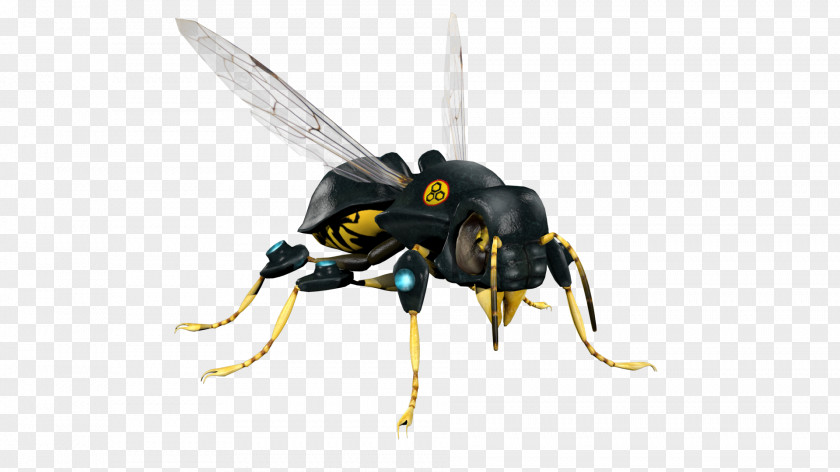Wasp Pest Hornet Bee Insect PNG
