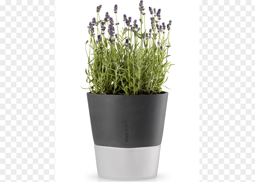 Watering Pot Flowerpot Cans Vase Glass Garden PNG