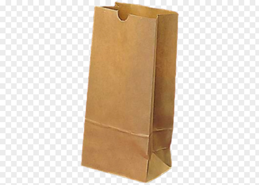 Design Paper Bag PNG