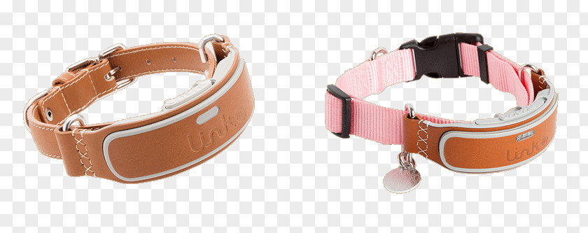 Dog Collar Cat Puppy PNG