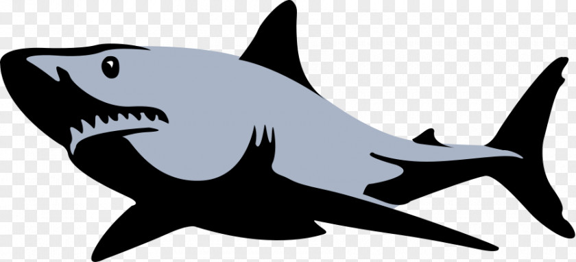 Microsoft Cliparts Tigers Great White Shark Clip Art PNG