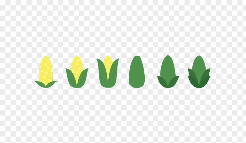 Of Corn Maize Kernel PNG
