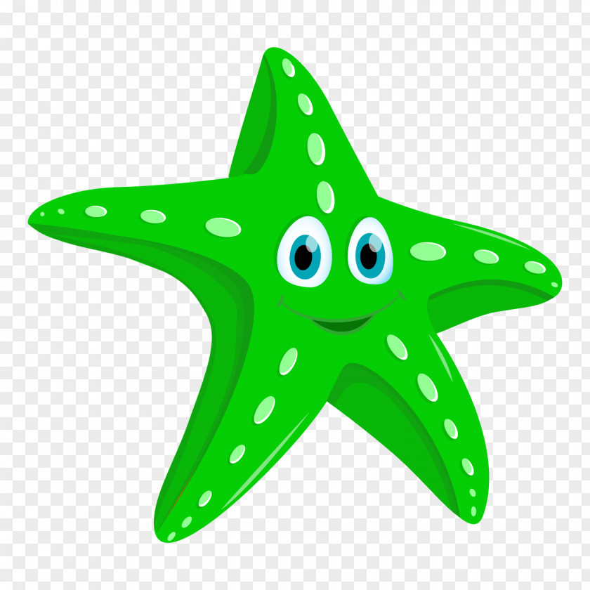 Starfish Clip Art Image Vector Graphics PNG